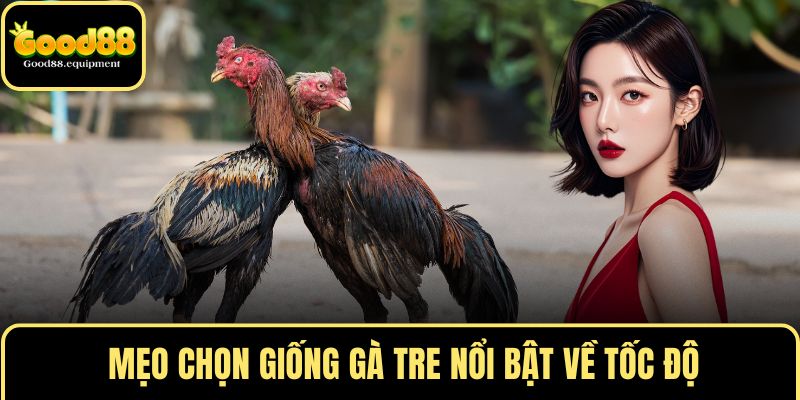 Mẹo chọn giống gà tre nổi bật về tốc độ